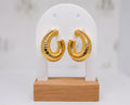 Female Trending Earrings Limited Edition