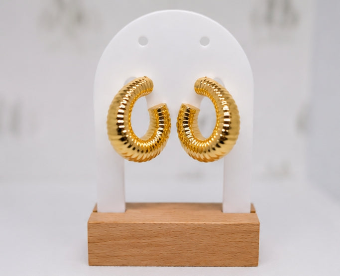 Female Trending Earrings Limited Edition
