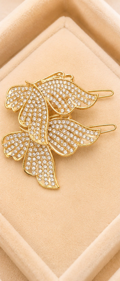 Pack Of 2 Women Stylish Hairpins